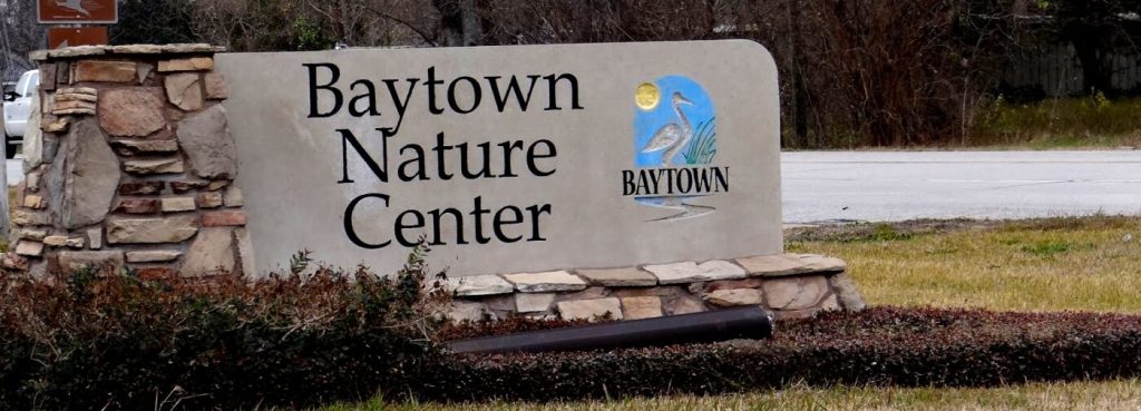 baytown moving tips