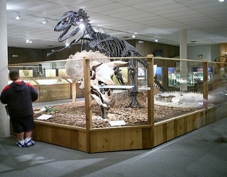 Brazosport Museum of Natural Science