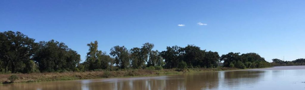 Clute Texas Old Calvit and Eagle Island Plantations